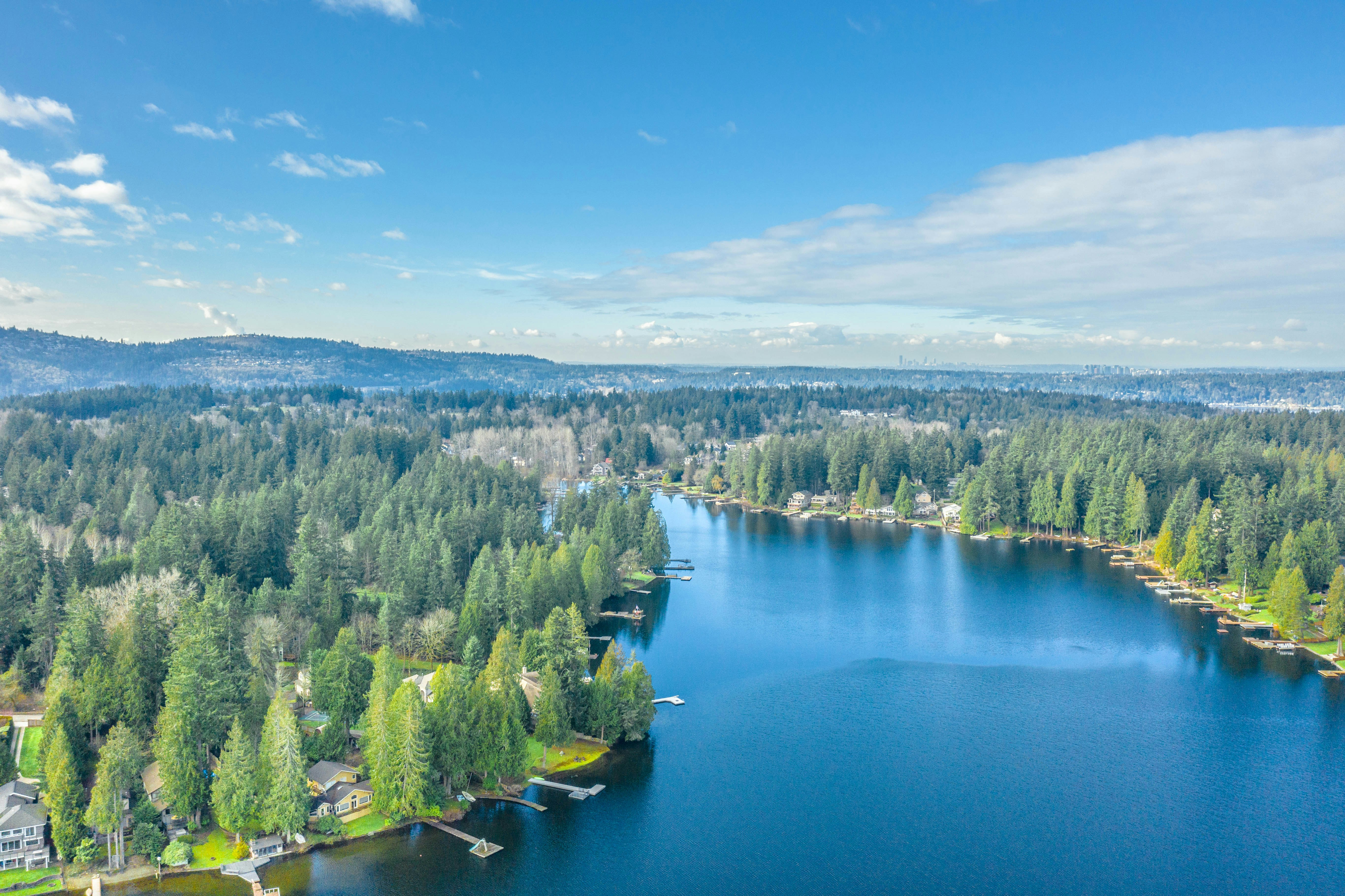 green trees beside lake under blue sky during daytime